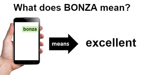 bonza meaning